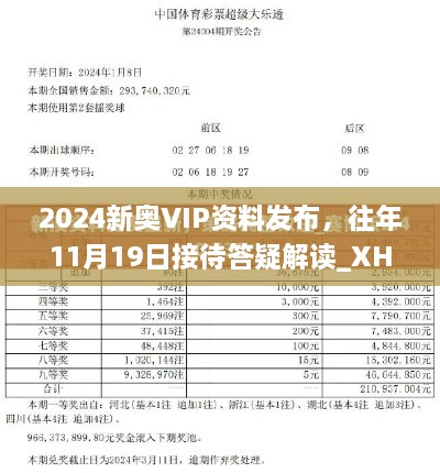 2024新奥VIP资料发布，往年11月19日接待答疑解读_XHG8.79.65炼气境