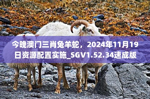 今晚澳门三肖兔羊蛇，2024年11月19日资源配置实施_SGV1.52.34速成版