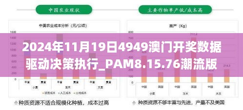 2024年11月19日4949澳门开奖数据驱动决策执行_PAM8.15.76潮流版