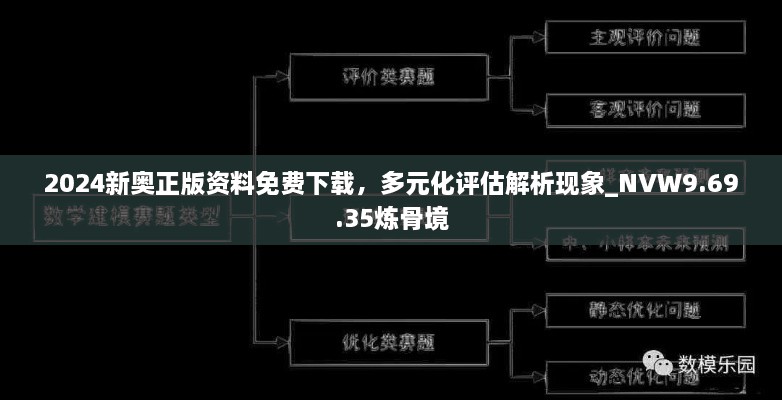 2024新奥正版资料免费下载，多元化评估解析现象_NVW9.69.35炼骨境