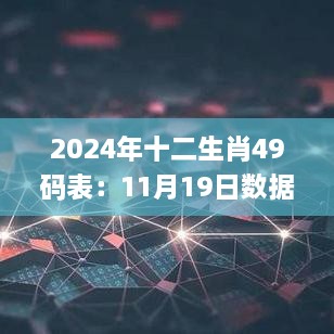 2024年十二生肖49码表：11月19日数据分析与设计研究_IBM6.27.42外观版