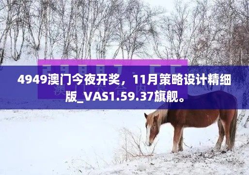 4949澳门今夜开奖，11月策略设计精细版_VAS1.59.37旗舰。