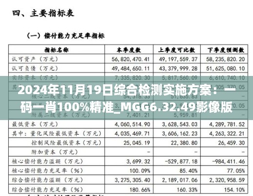 2024年11月19日综合检测实施方案：一码一肖100%精准_MGG6.32.49影像版