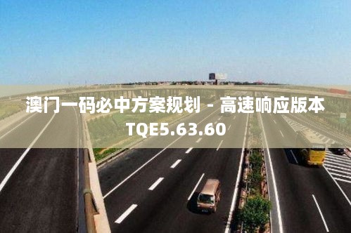 澳门一码必中方案规划 - 高速响应版本TQE5.63.60