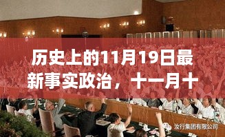 11月19日政治星光下的温情日常，最新事实政治回顾