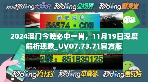 2024澳门今晚必中一肖，11月19日深度解析现象_UVO7.73.71官方版