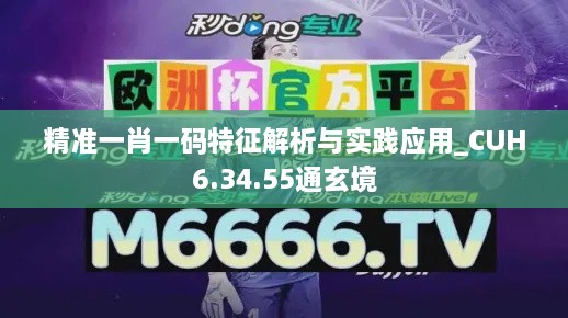 精准一肖一码特征解析与实践应用_CUH6.34.55通玄境