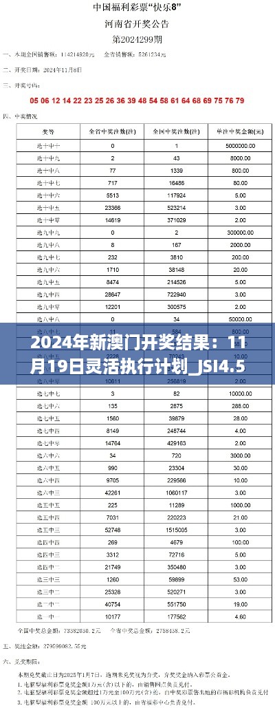 2024年新澳门开奖结果：11月19日灵活执行计划_JSI4.52.95智能版