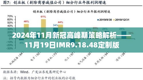 2024年11月新冠高峰期策略解析——11月19日IMR9.18.48定制版