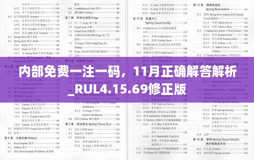 内部免费一注一码，11月正确解答解析_RUL4.15.69修正版