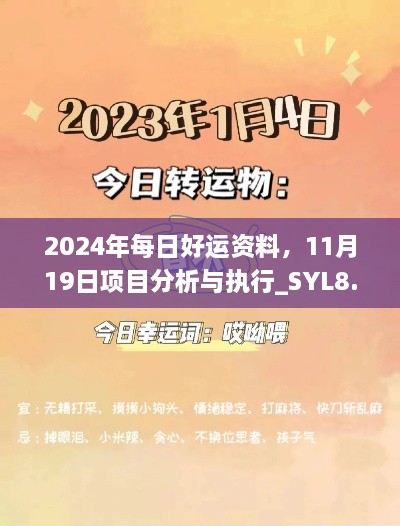 2024年每日好运资料，11月19日项目分析与执行_SYL8.36.28炼脏境