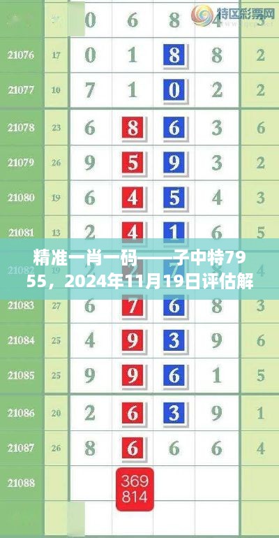 精准一肖一码——子中特7955，2024年11月19日评估解答及执行ADC7.43.71精选版