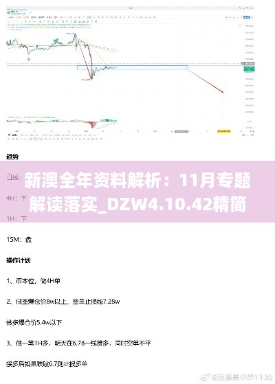 新澳全年资料解析：11月专题解读落实_DZW4.10.42精简版