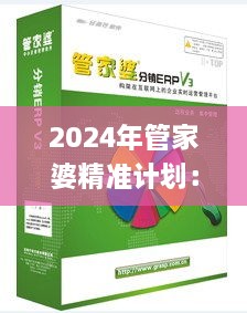 2024年管家婆精准计划：11月19日高效落实方案_FNU8.43.29增强版