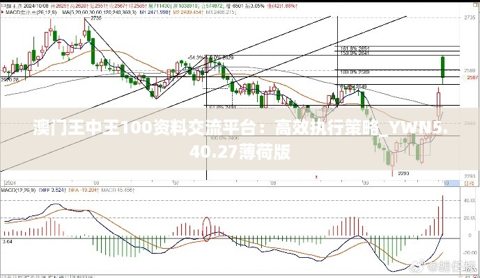 澳门王中王100资料交流平台：高效执行策略_YWN5.40.27薄荷版