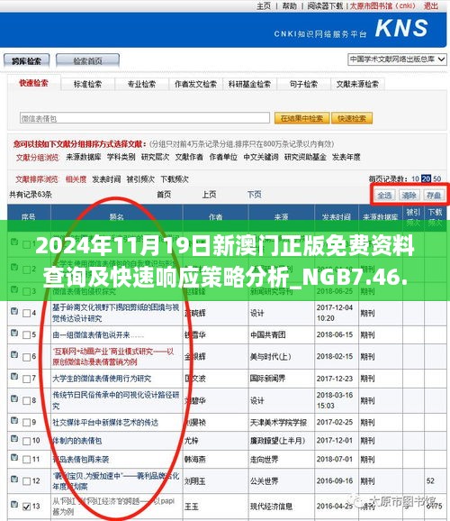 2024年11月19日新澳门正版免费资料查询及快速响应策略分析_NGB7.46.36专属版