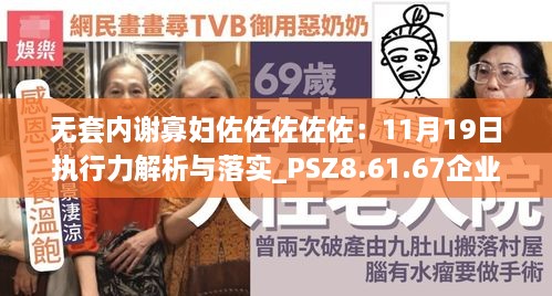 无套内谢寡妇佐佐佐佐佐：11月19日执行力解析与落实_PSZ8.61.67企业版