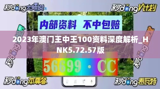 2023年澳门王中王100资料深度解析_HNK5.72.57版