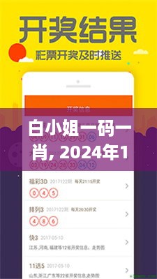 白小姐一码一肖, 2024年11月19日成本解答及控制策略_HCC1.48.39风险版