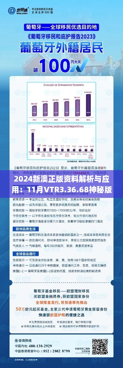 2024新澳正版资料解析与应用：11月VTR3.36.68神秘版深度数据分析