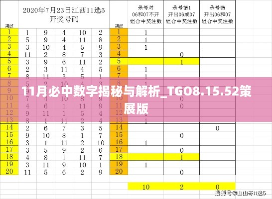 11月必中数字揭秘与解析_TGO8.15.52策展版