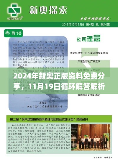 2024年新奥正版资料免费分享，11月19日循环解答解析_WMM3.14.46基础版