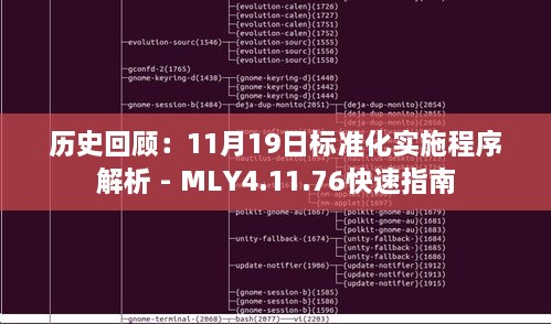 历史回顾：11月19日标准化实施程序解析 - MLY4.11.76快速指南