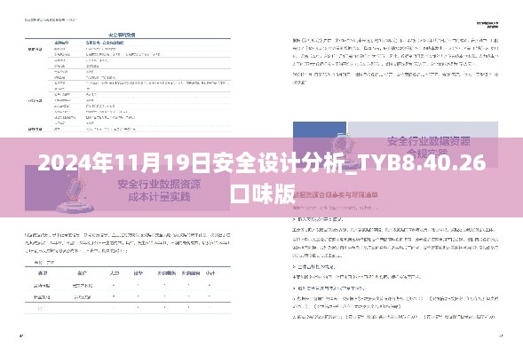 2024年11月19日安全设计分析_TYB8.40.26口味版