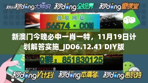 新澳门今晚必中一肖一特，11月19日计划解答实施_JDO6.12.41 DIY版