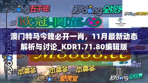 澳门特马今晚必开一肖，11月最新动态解析与讨论_KDR1.71.80编辑版