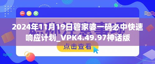 2024年11月19日管家婆一码必中快速响应计划_VPK4.49.97神话版