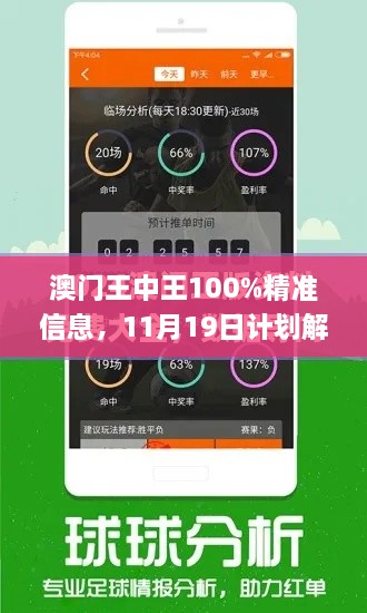 澳门王中王100%精准信息，11月19日计划解读实施_ZWA5.16.98备用版