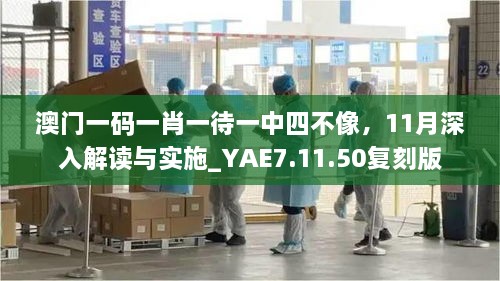 澳门一码一肖一待一中四不像，11月深入解读与实施_YAE7.11.50复刻版