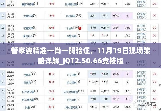 管家婆精准一肖一码验证，11月19日现场策略详解_JQT2.50.66竞技版