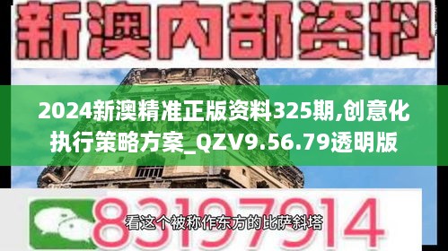 2024新澳精准正版资料325期,创意化执行策略方案_QZV9.56.79透明版