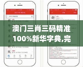 澳门三肖三码精准100%新华字典,完善实施计划_TAI41.643媒体版