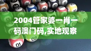 2004管家婆一肖一码澳门码,实地观察解释定义_GOC41.449文化传承版