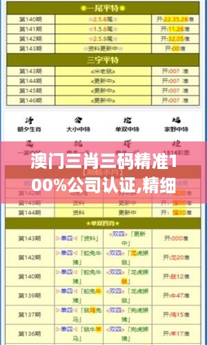 澳门三肖三码精准100%公司认证,精细化实施分析_KLS41.345定义版