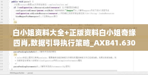 白小姐资料大全+正版资料白小姐奇缘四肖,数据引导执行策略_AXB41.630启动版