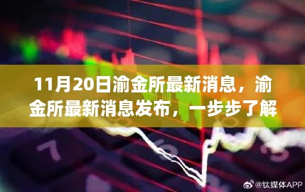 渝金所最新动态发布，获取金融资讯，提升金融技能之道