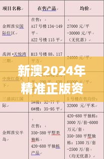 新澳2024年精准正版资料,实际调研解析_NJN41.488语音版