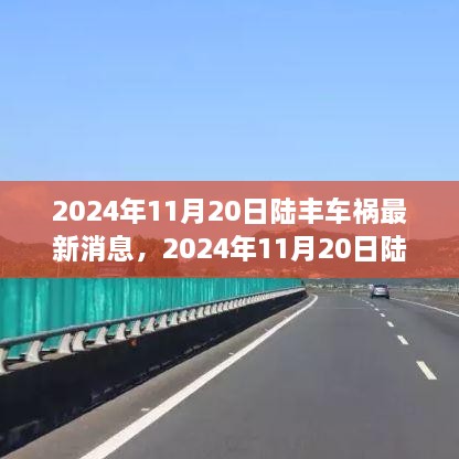 陆丰车祸事件最新消息详解与获取最新消息步骤指南（2024年11月20日）