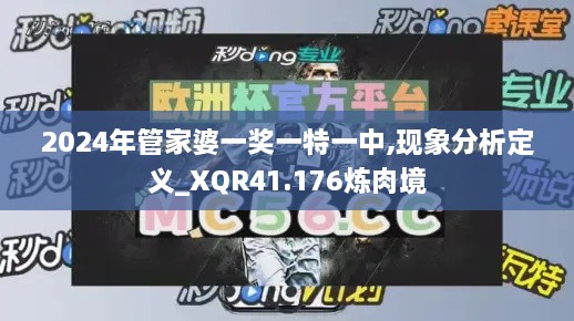 2024年管家婆一奖一特一中,现象分析定义_XQR41.176炼肉境