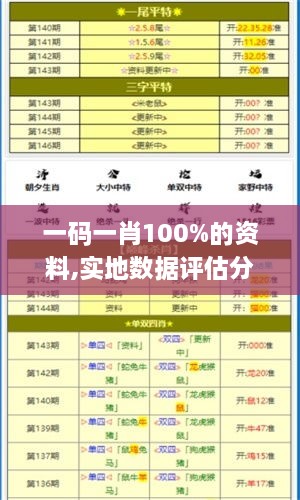 一码一肖100%的资料,实地数据评估分析_UVH41.593随行版