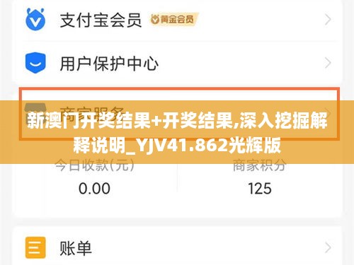 新澳门开奖结果+开奖结果,深入挖掘解释说明_YJV41.862光辉版