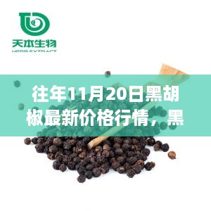 黑胡椒最新行情与科技产品，前沿科技重塑生活体验