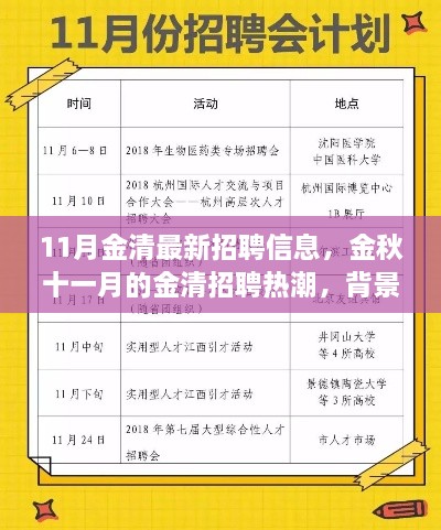 金秋十一月的金清招聘热潮，背景、进展与职场影响全解析