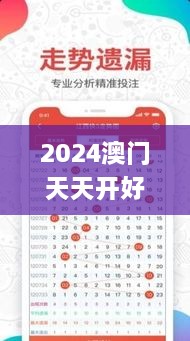 2024澳门天天开好彩大全162,社会承担实践战略_UDT41.611乐享版