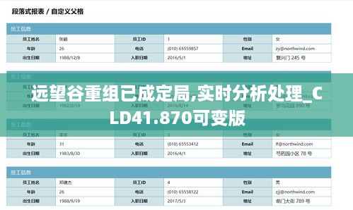 远望谷重组已成定局,实时分析处理_CLD41.870可变版