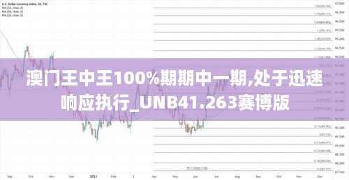 澳门王中王100%期期中一期,处于迅速响应执行_UNB41.263赛博版